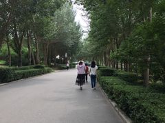 -长春公园(普阳街道)