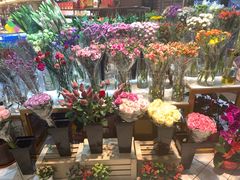 -远洋未来广场(育慧北路店)