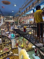 -卡通尼·Safari非洲探索乐园·生日会(金桥国际商业广场店)