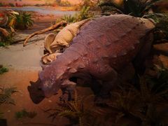 -贝林大翅鲸简餐厅(国家海洋博物馆店)