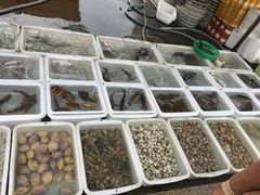 -东澳岛