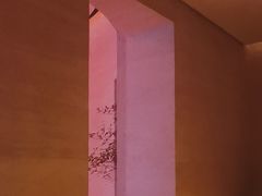 -舒小悦·舒养SPA·古法推拿(光环中心店)