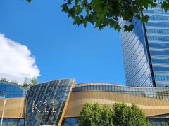 -华中科技大学同济医学院附属同济医院(汉口院区)