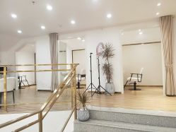 -YESIDO椰岛造型