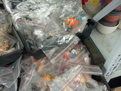 -龙大花卉苗木市场