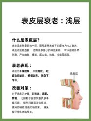 点击看大图 -玛莲朵·海菲秀冰珀科