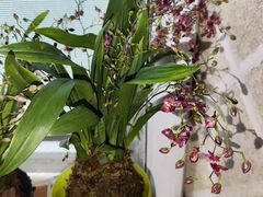 -家乐福(古北店)