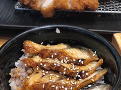 -胜博殿日式炸猪排(西红门店)