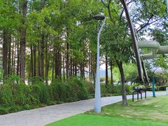 -尚贤河湿地