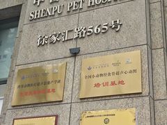 -申普宠物医院·心脏介入·心血管微创(总院)