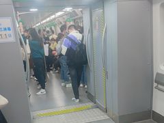 -杨柳河(地铁站)