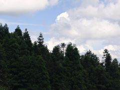 -明月山风景名胜区