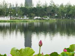 -西海子公园