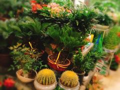 -卜蜂莲花(杨高南路店)