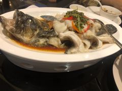 青花椒蒸龙胆鱼-闽和南(深圳万象城店)