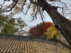 -青岛崂山太清宫