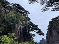 -黄山风景区