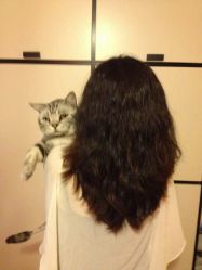 1373374242776_10102f3d-764e-49e0-babf-bdbb7fb7b356-尚·丹尼Hair