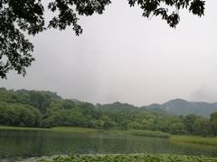 -茅家埠
