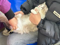 -酷宠动物医院(天通西苑店)