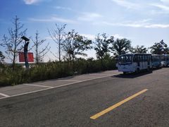 -盐城丹顶鹤湿地生态旅游区