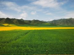 -扁都口生态休闲旅游区