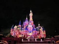 -上海迪士尼度假区