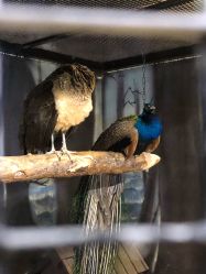 -酷嗒动物文化乐园(cutezoo西溪乐天城店)