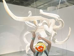-凤凰中心