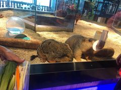 -昆明大悦城未来动物城(螺蛳湾中心店)