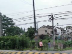 -状元楼(金溪路店)