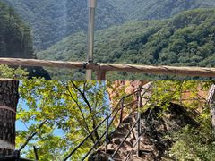 -五女峰国家森林公园