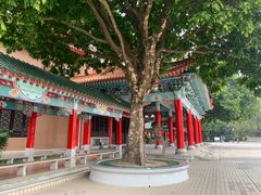 -广东圆玄道观