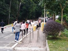 -火炉山森林公园