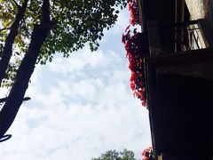 -Mammamia意大利餐厅(阳春巷店)