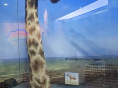 -国家自然博物馆