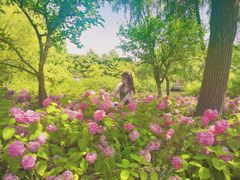 -上海滨江森林公园