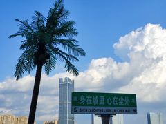 -时光码头民谣公社