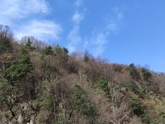 -陕西省红河谷森林公园