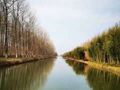 -黄海国家森林公园