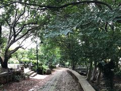 -雨花胜境