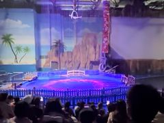 -华夏文旅海洋公园