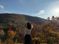 -塞罕坝国家级自然保护区