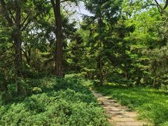 -元大都城垣遗址公园