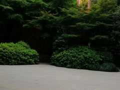 -杭州黄龙洞
