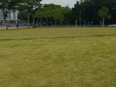 -二沙岛艺术公园