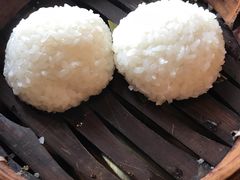 茨毛圆子-双塔老饭店