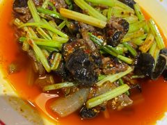 -冯烫烫跷脚牛肉·川菜小馆(武胜西街店)