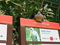 -新加坡飞禽公园