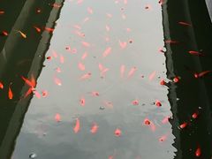 -茂陵博物馆
